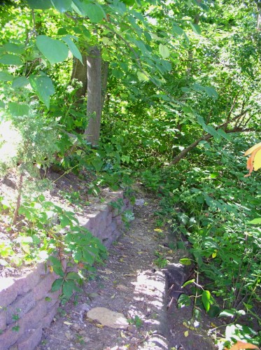 summer hillside 2.jpg