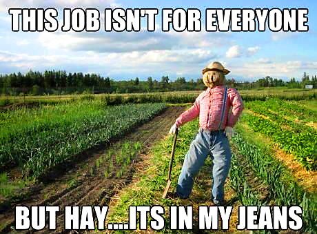 Hay jeans.jpg