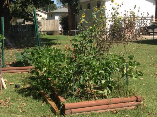 peppers and green beans.jpg