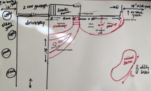 front yard plan with plants.JPG
