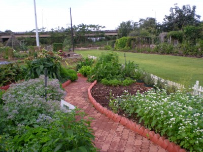 herb garden at UGC 2009