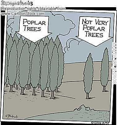 f2ae4eb0c31500917b8f4b6e1f7e1d1e--poplar-tree-science-humor.jpg