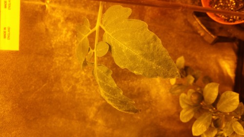 20180405_083932.jpg