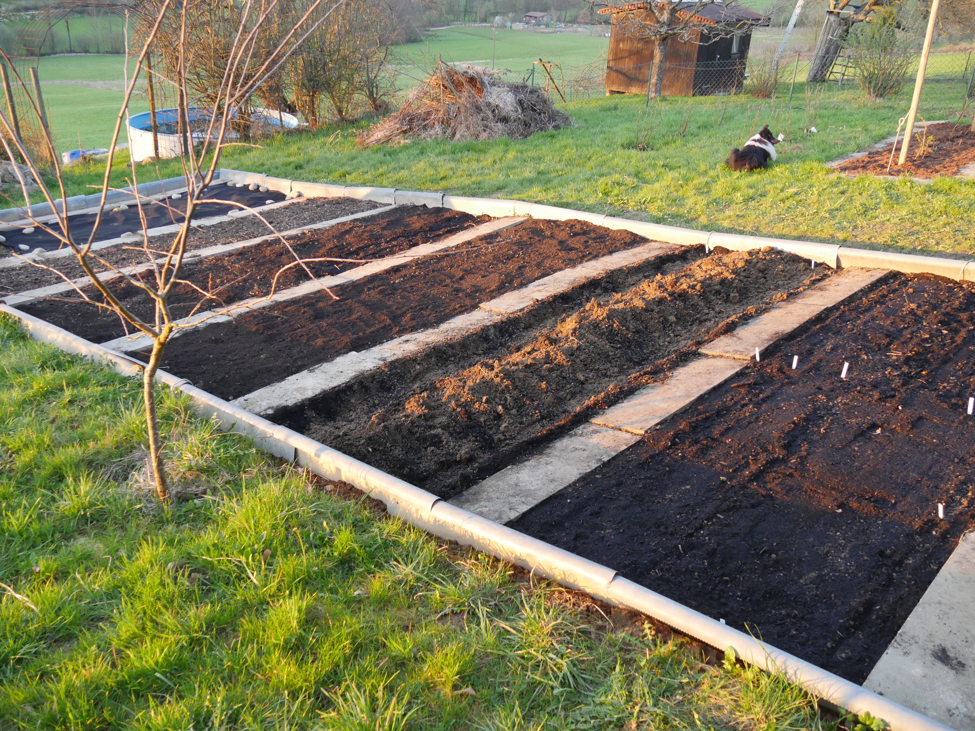 Hay Mulch Ruth Stout Vs Compost Mulch Charles Dowding