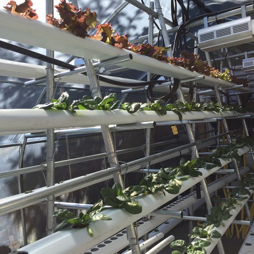 vertical-hydroponics-nft-system.jpg