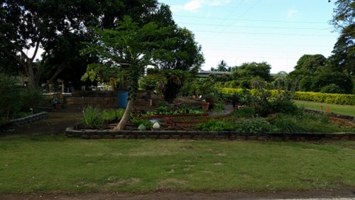 herb garden in January 2018