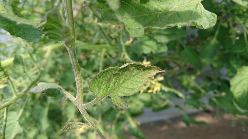 20180605_125853.jpg