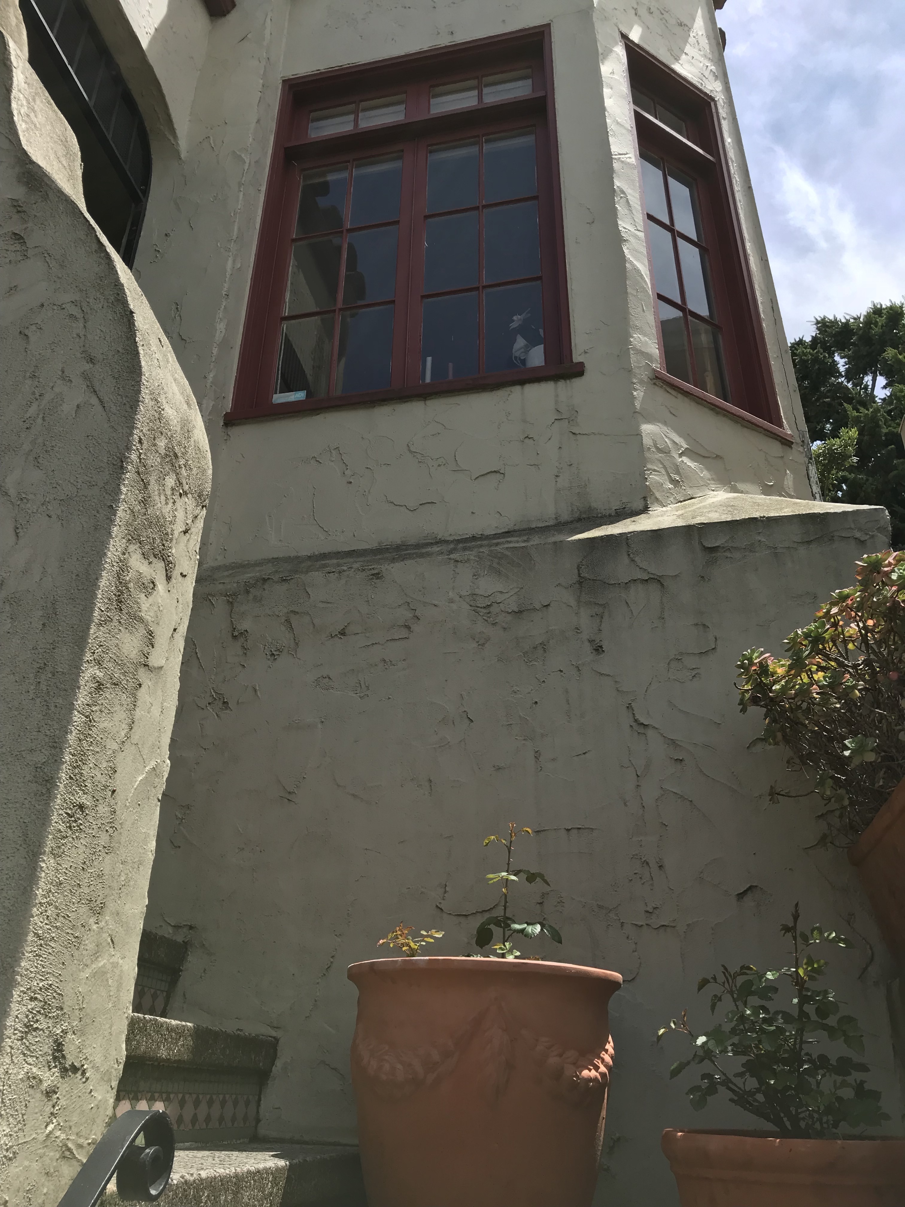 Container Gardening Forum