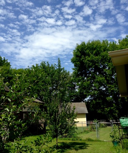 sky and garden.jpg