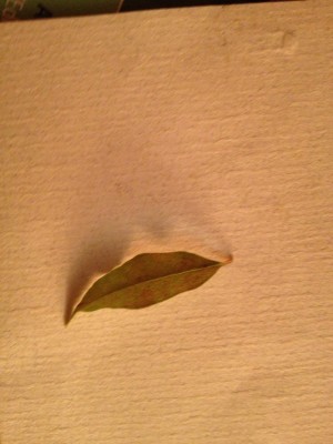 leaf.jpg