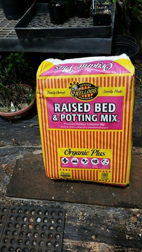 used Mg potting mix and raised bed garden mix. Raised bed garden mix is organic and similar to sunshine #4