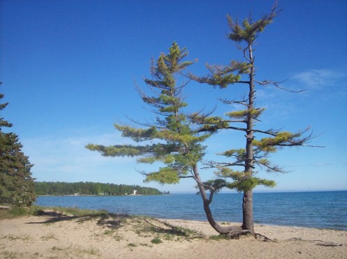 Wilderness State Park MI