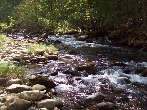 Smoky Mountains
