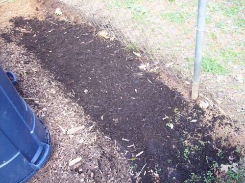 This spot has 16 potato peals with large growing eyes planted 4&quot; apart if 4 rows 4&quot; apart.  I made sure there is no nitrogen in this soil.  Last year my potato vines were 6 feet long the soil I bought was loaded with nitrogen that is probably why plants were so large and only 1 small potato per plant.  I hope this year potato plants stay small no taller that 2 ft.  It appears potatoes are like tomatoes nitrogen produces large plants with very small harvest.