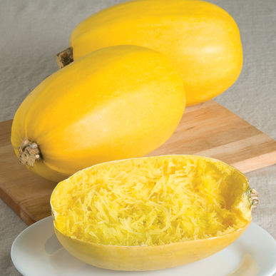 Spaghetti Squash