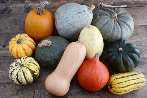 What kind of squash are the 2 small squash to the far left side 1 is green/white the other 1 is orange/yellow both same shape and about the same size.