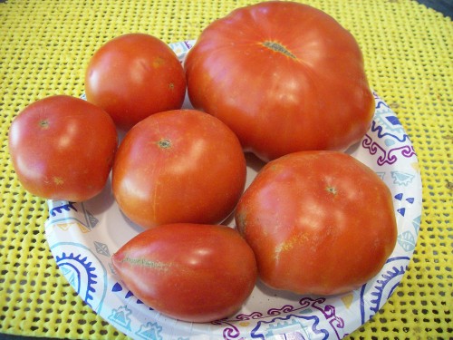 Tomatoes