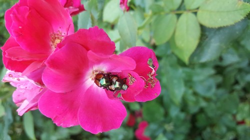 20190729_190353.jpg