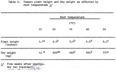 rootTempSeedling.jpg