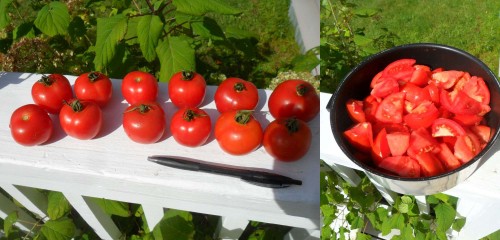 2019 tomato collage cherr.jpg
