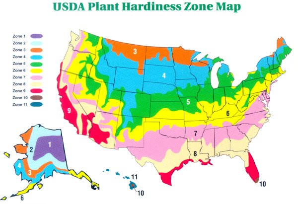 large-planting-zone-map.jpg