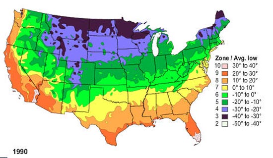 plant_hardiness_zone_map_19.jpg