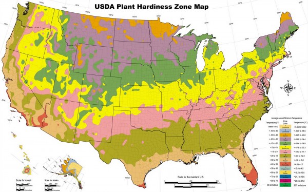 usda-plant-hardiness-zone-map.jpg