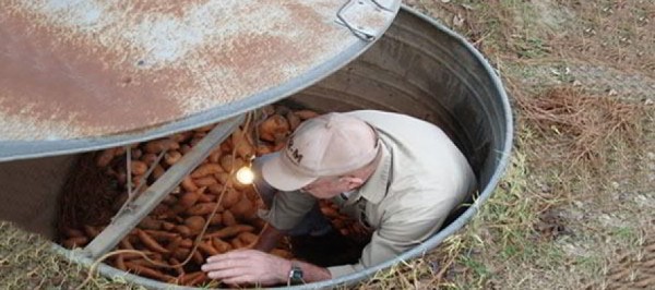 How-To-Make-a-Mini-Root-Cellar-In-Your-Backyard-With-10-In-One-Hour-890x395_c.jpg