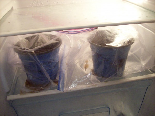 100_7199.JPG