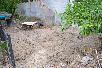 The &quot;graveyard&quot;.