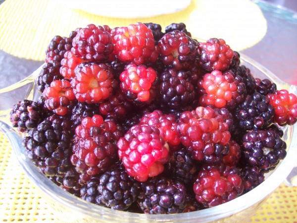 100_7228.JPG
