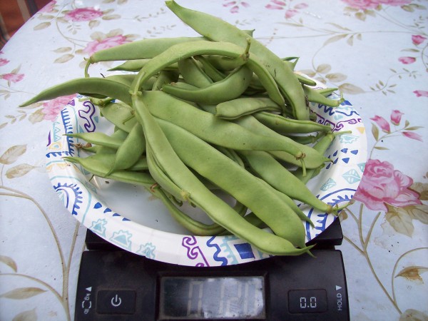 100_7234.JPG