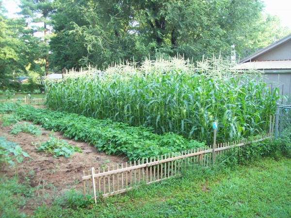 100_7264.JPG
