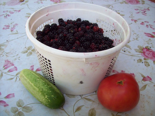 100_7291.JPG