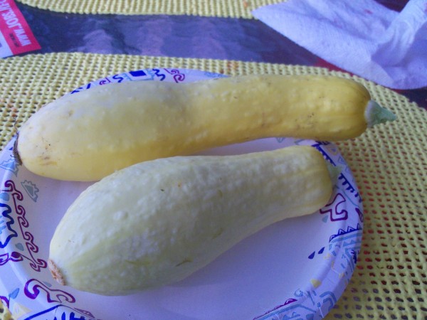 100_6831.JPG
