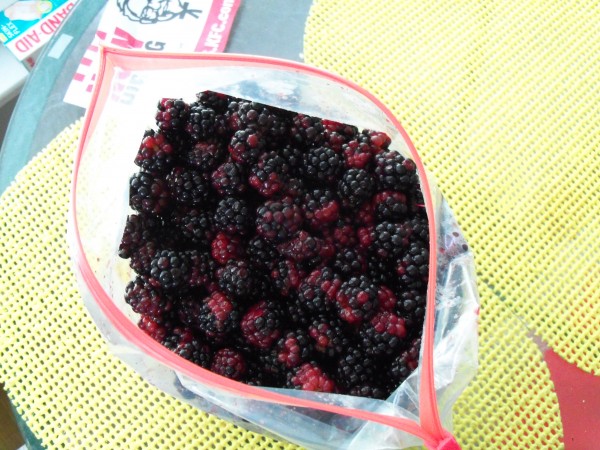 100_6835.JPG