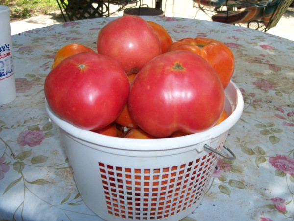 100_6839.JPG