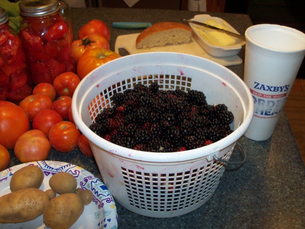 100_6850.JPG