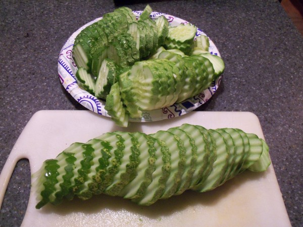 100_6890.JPG