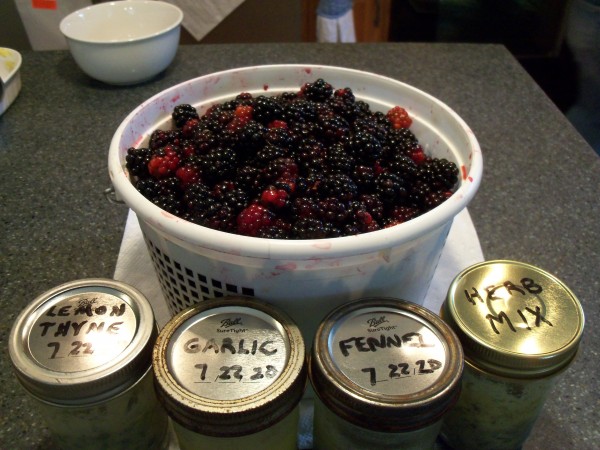 100_6907.JPG