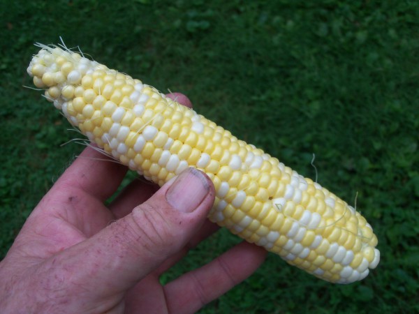 100_6946.JPG