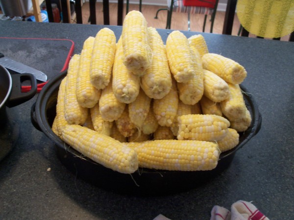 100_6962.JPG