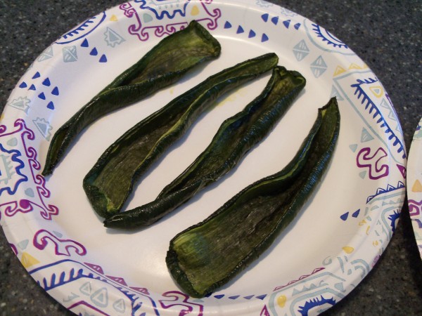 100_7075.JPG