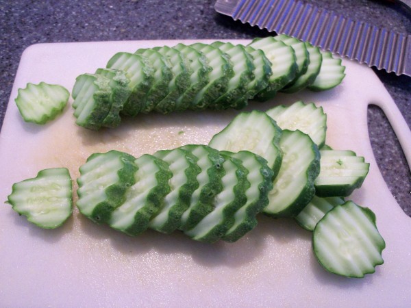 100_7090.JPG