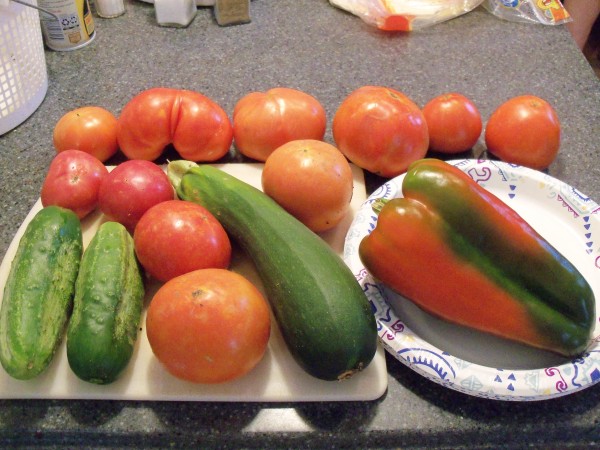 100_7104.JPG