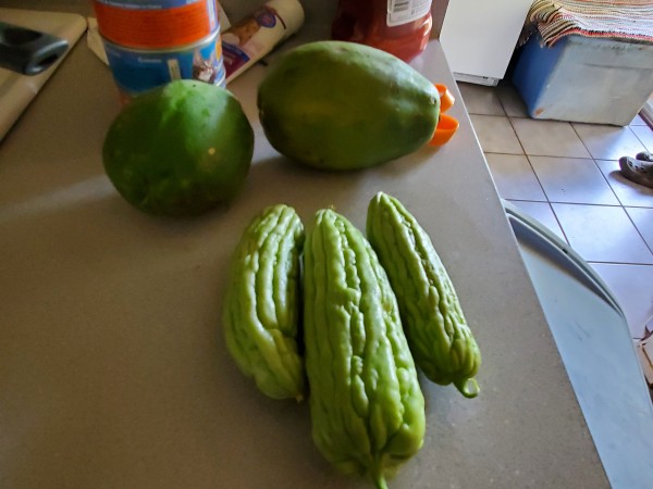 papaya and bitter melon