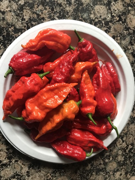 Good Peppers.jpg