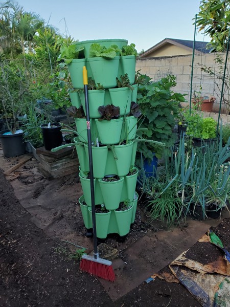 New tower garden.