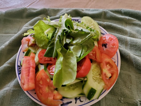 Salad of manoa lettuce, Soarer cucumber, and Camaro tomato