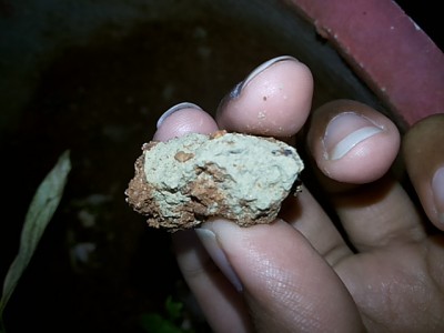 20140420_070136.jpg